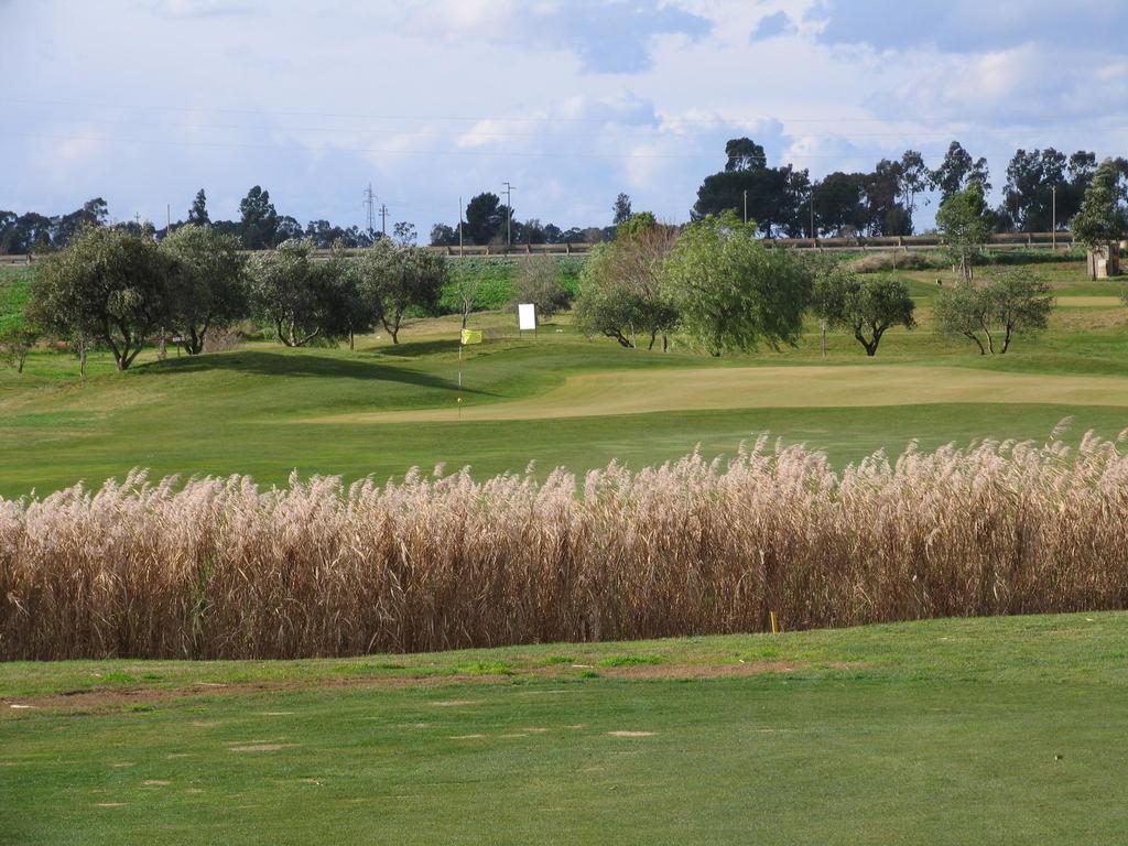 منزل الضيف Golf Club ميتابونتو المظهر الخارجي الصورة